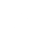 icon2 icon2